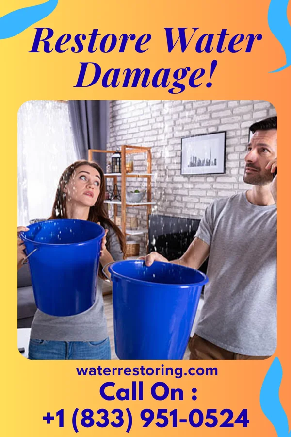 water restoration Master Water Removal Pros Welch